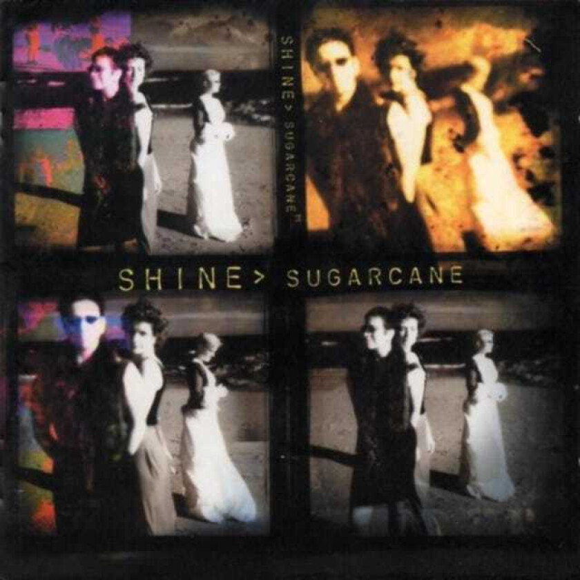 Shine  Sugarcane  CD