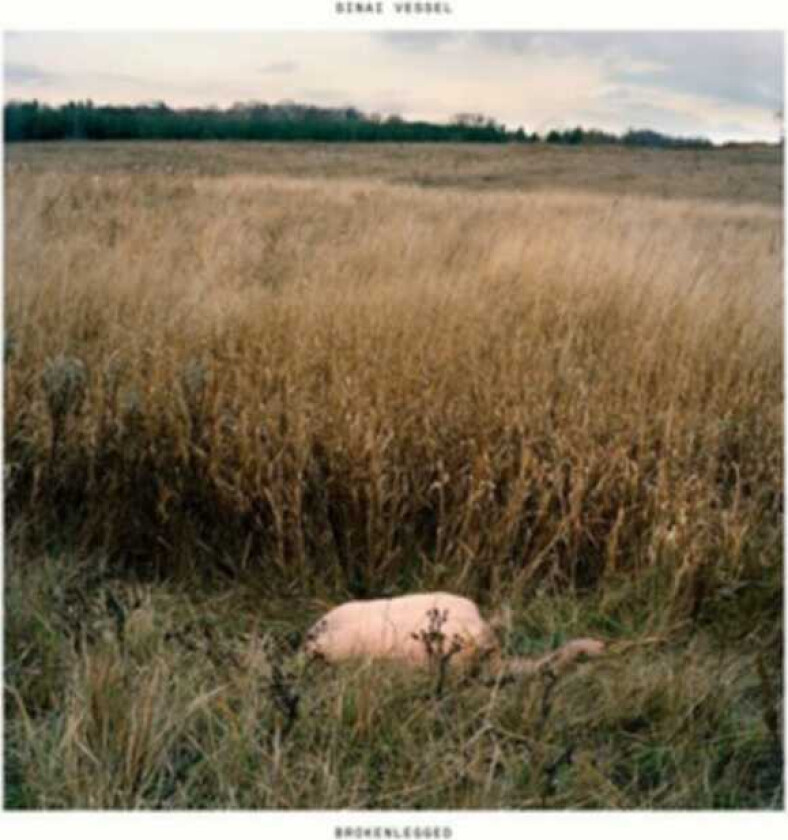 Sinai Vessel Brokenlegged LP/Vinyl