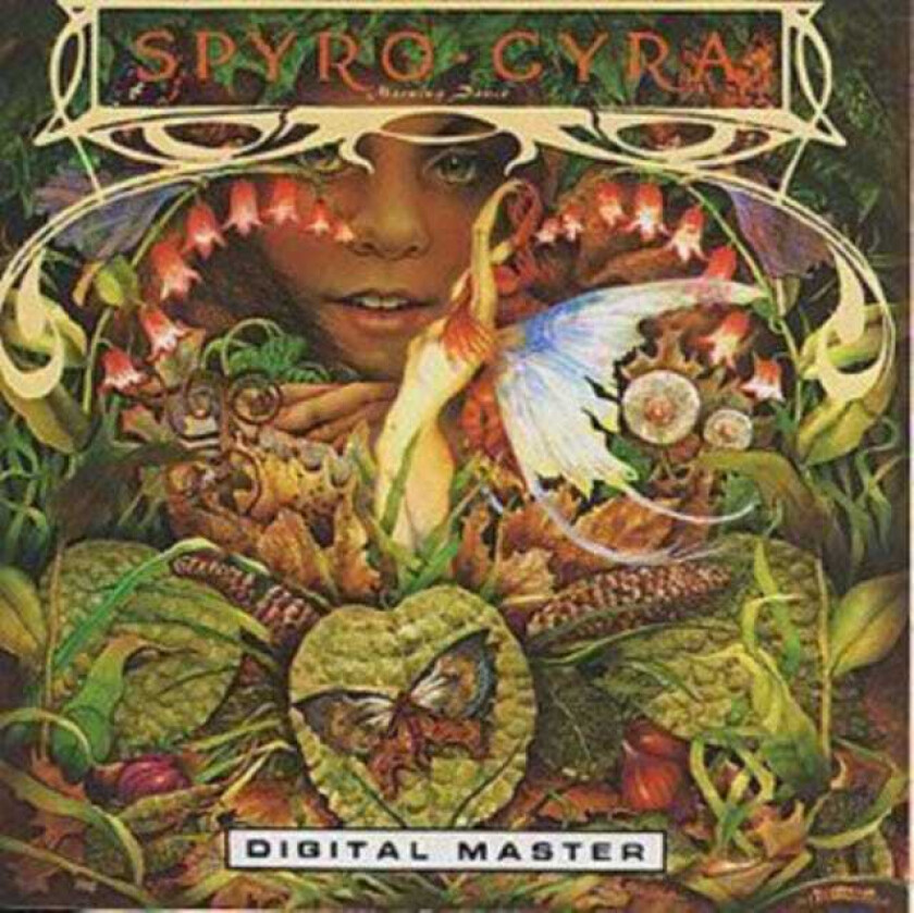 Spyro Gyra Morning Dance CD