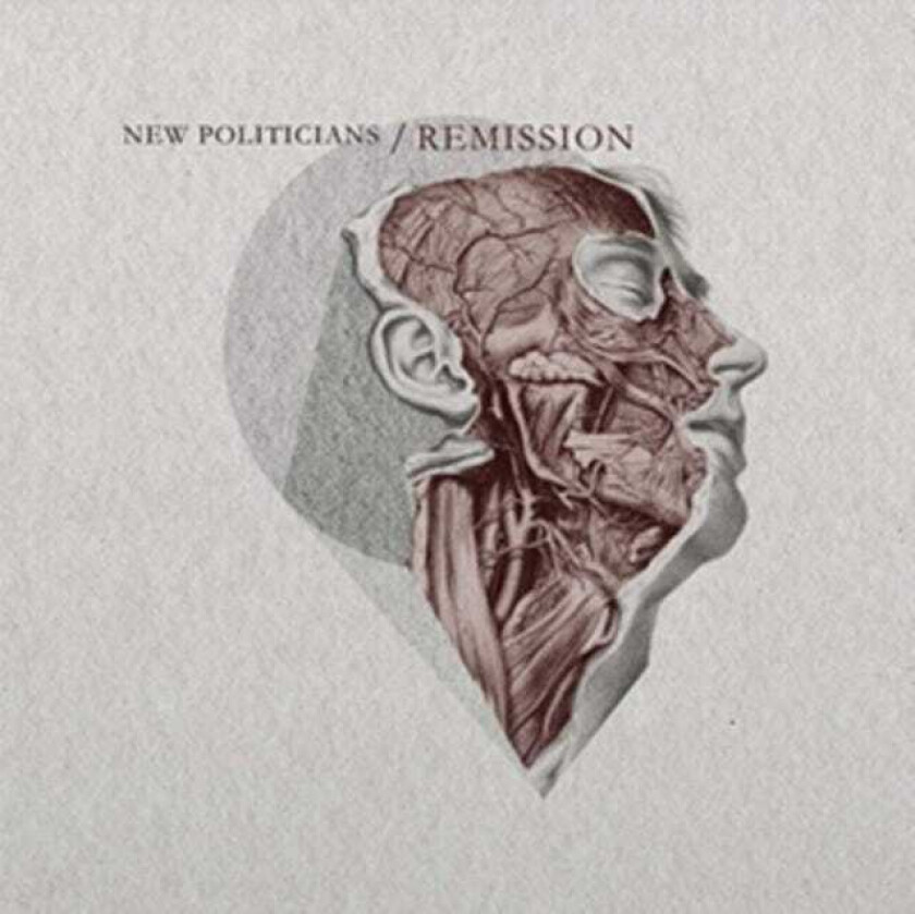 New Politicans Remission CD