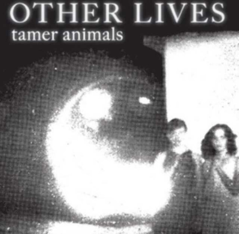 Other Lives  Tamer Animals  CD