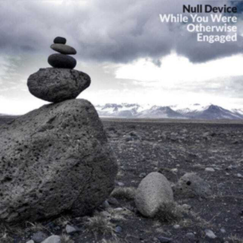 Null Device  While You Were Otherwise Engaged  CD