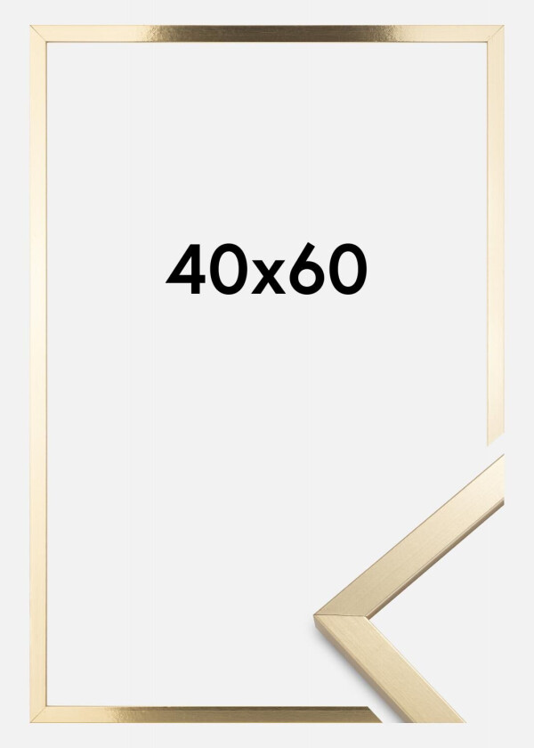 Ramme Trendy Akrylglass Gull 40x60 Cm