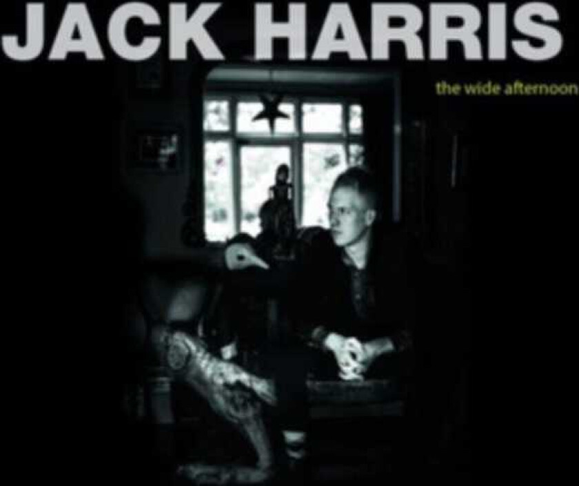 Jack Harris The Wide Afternoon CD
