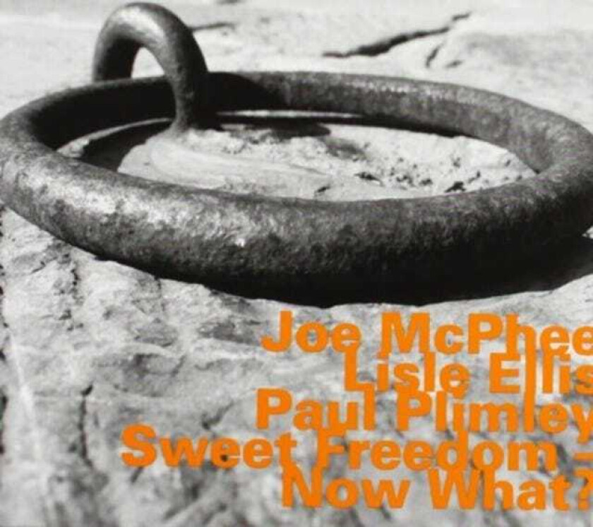 Joe McPhee Sweet Freedom Now What? CD