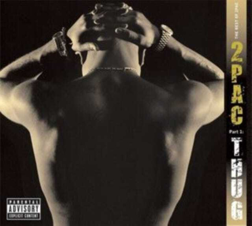 2Pac The Best Of 2Pac Part 1 Thug LP/Vinyl