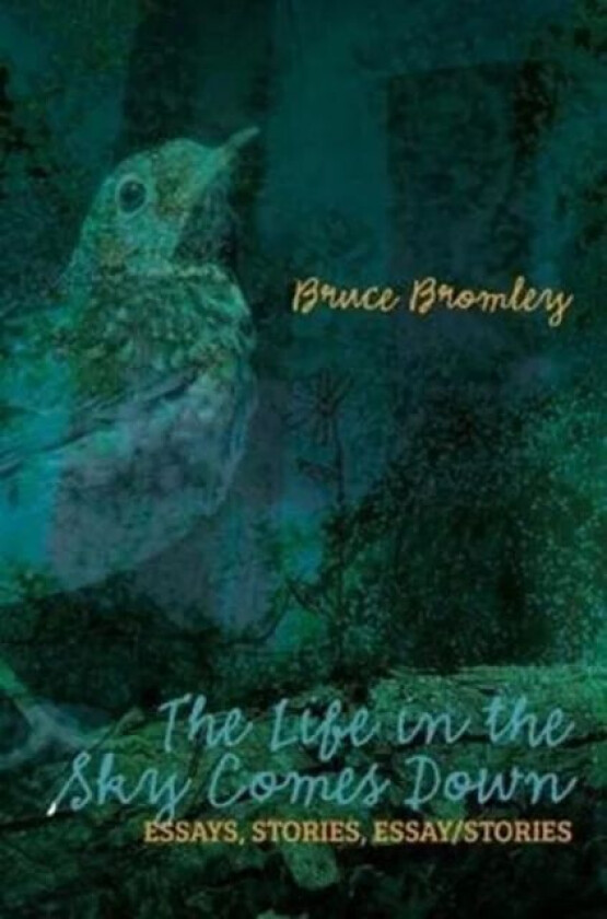 The Life in the Sky Comes Down av Bruce D Bromley