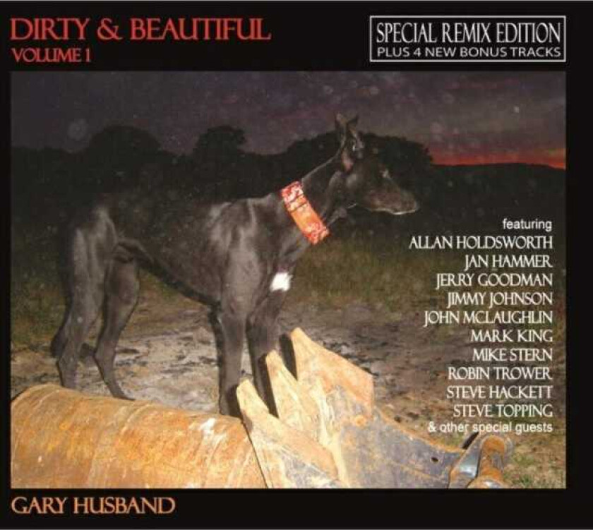 Gary Husband Dirty & Beautiful CD