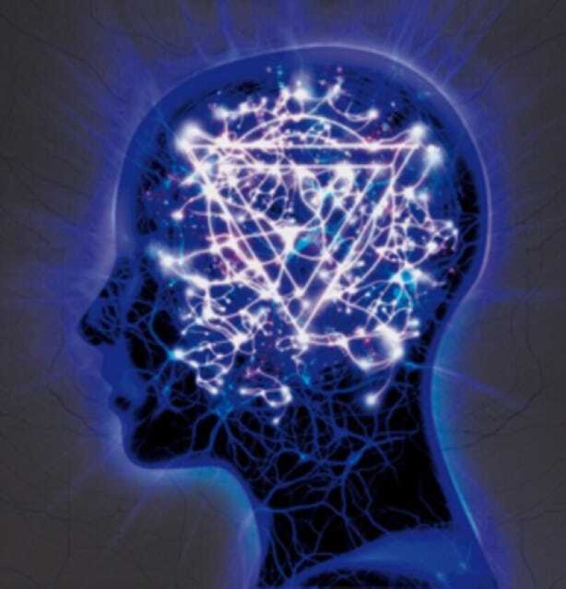 Enter Shikari The Mindsweep CD
