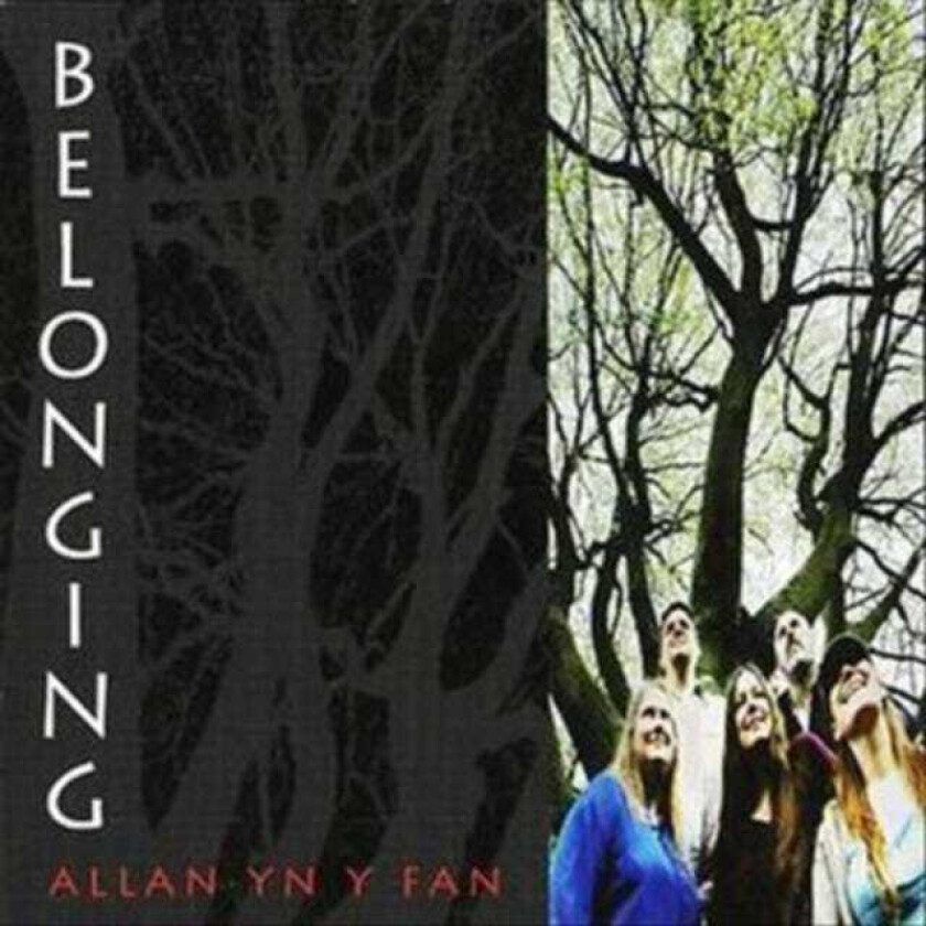 Allan Yn Y Fan Belonging CD