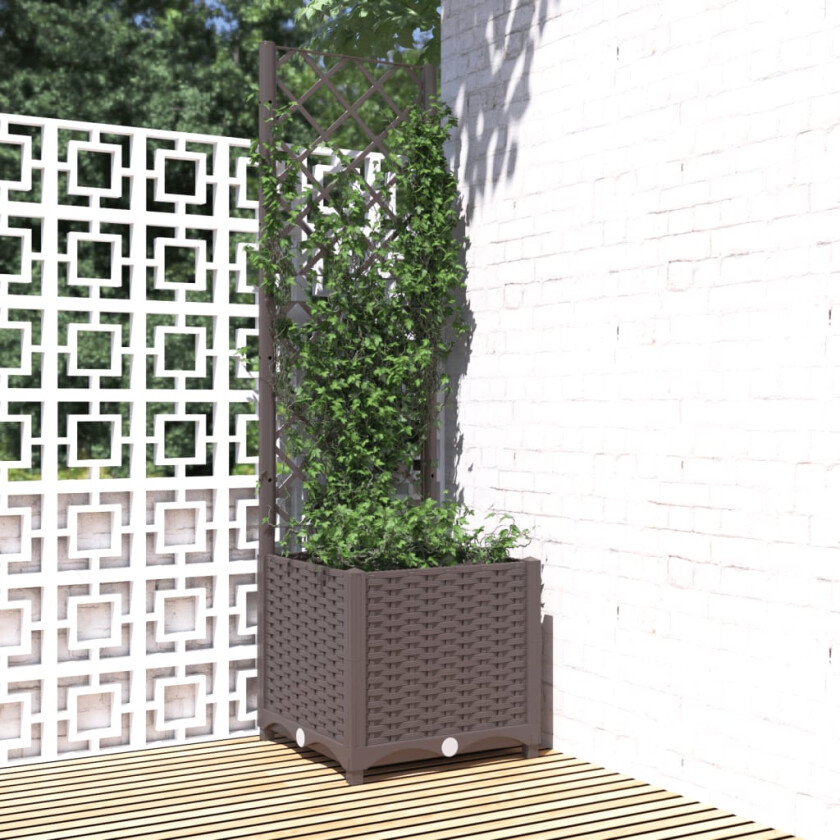 Plantekasse med espalier brun 40x40x136 cm PP