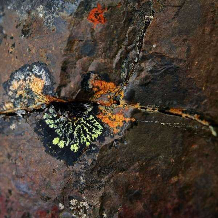 Sebastian Mullaert (Aka Minilogue) Natthall LP/Vinyl