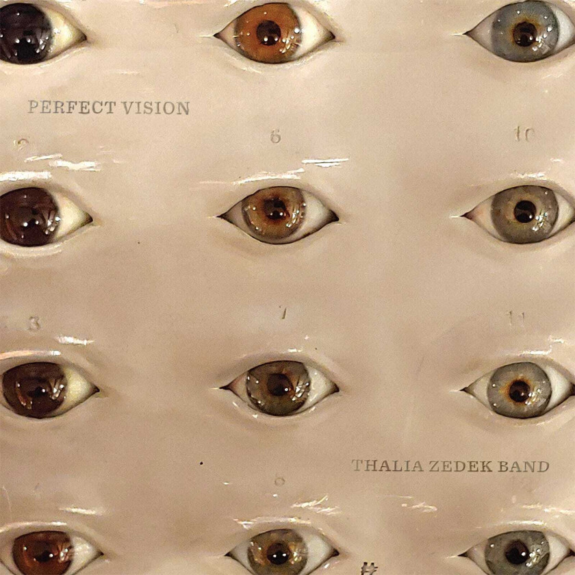 Thalia Zedek Perfect Vision LP/Vinyl