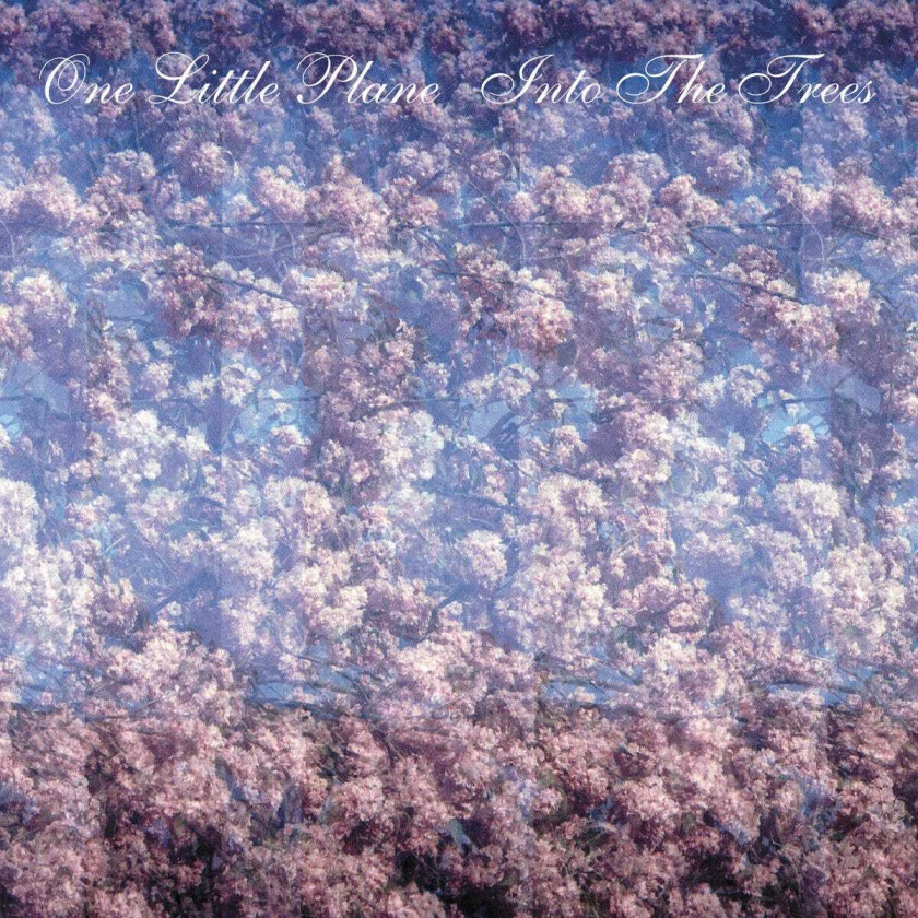 One Little Plane Into The Trees CD