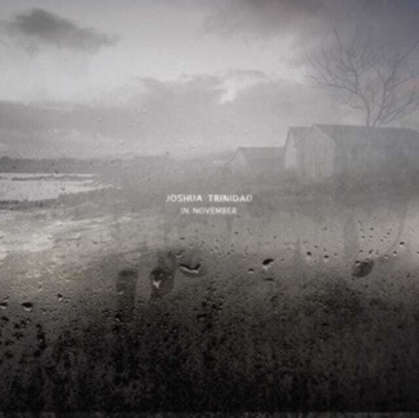 Joshua Trinidad In November LP/Vinyl