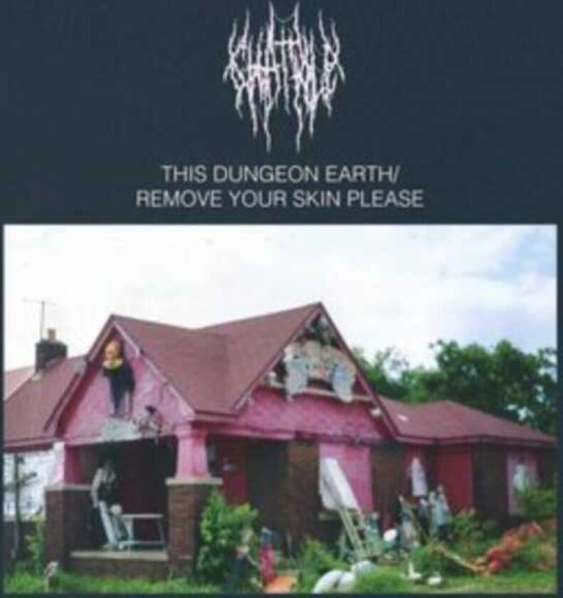 Chat Pile This Dungeon Earth / Remove Your Skin Please LP/Vinyl