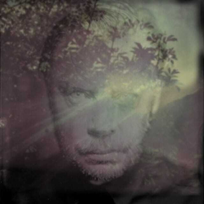 Delaney Davidson Shining Day CD