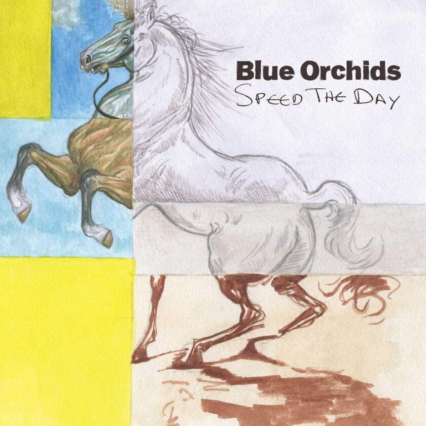 Blue Orchids  Speed The Day  CD