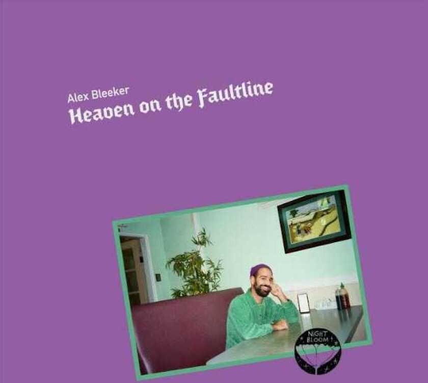 Alex Bleeker Heaven On The Faultline LP/Vinyl
