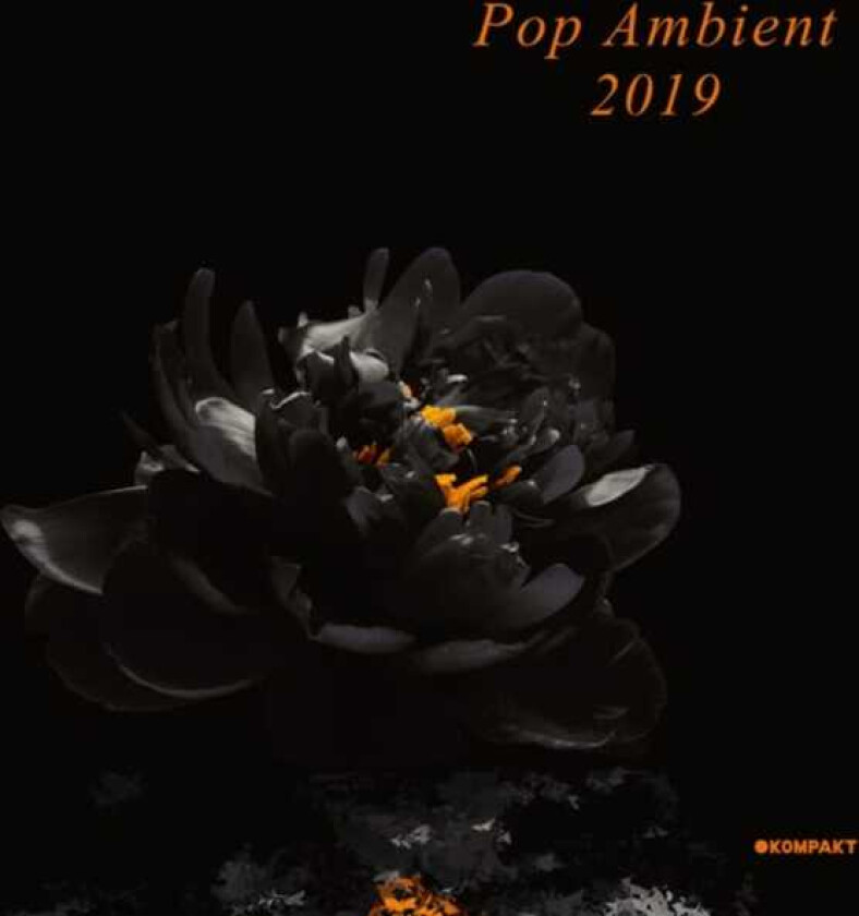 Diverse Artister Pop Ambient 2019 LP/Vinyl