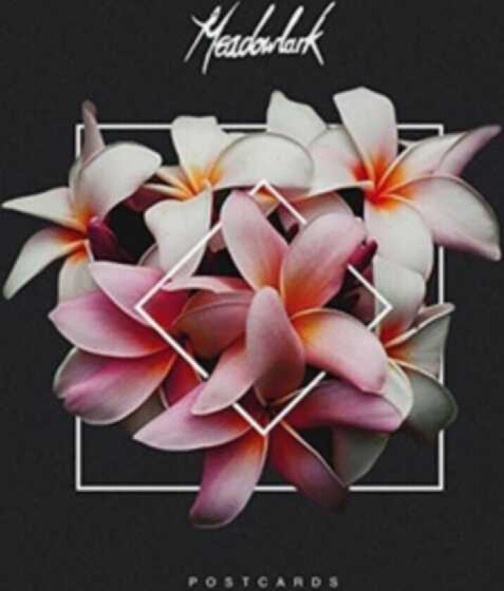 Meadowlark : Postcards CD (2017)
