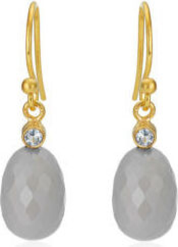 Forgylt Sølv Øredobber 5166-2-103