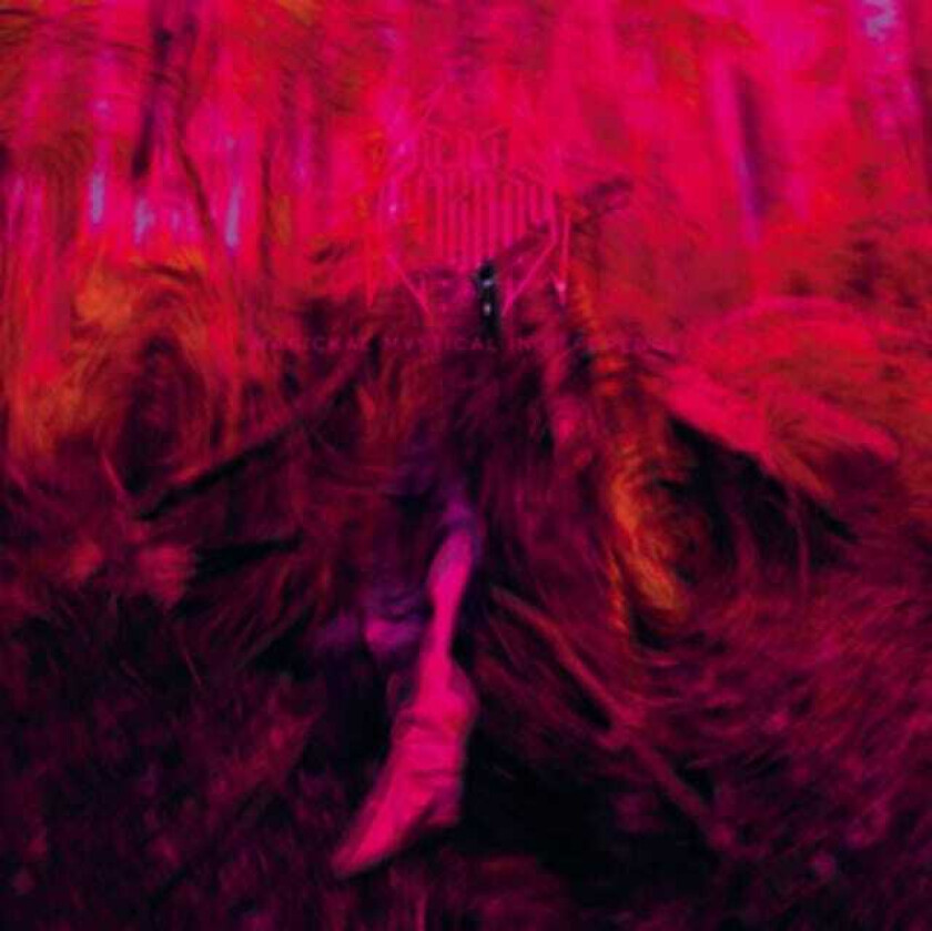 Rebel Wizard Magickal Mystical Indifference LP/Vinyl