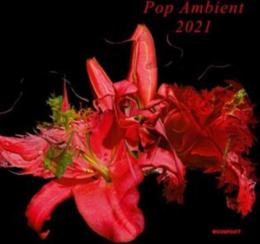 Diverse Artister, Diverse Electronica Pop Ambient 2021 LP/Vinyl