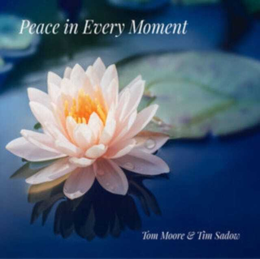 Tim Moore, Tim Sadow  Peace In Every Moment  CD