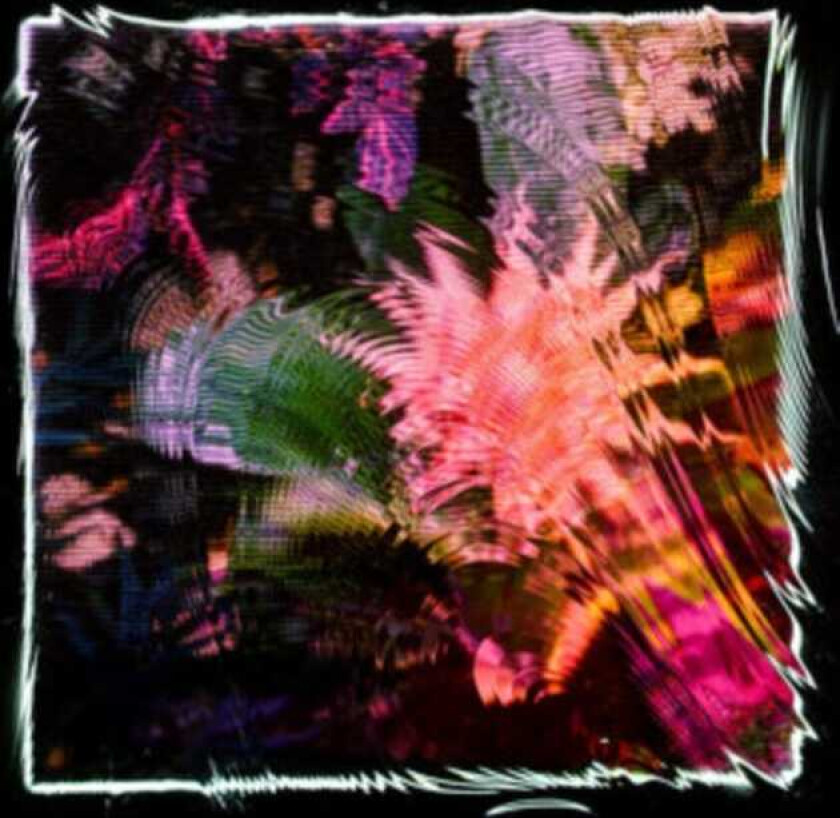 Camila Fuchs Kids Talk Sun CD