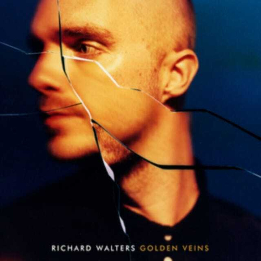 Richard Walters Golden Veins LP/Vinyl