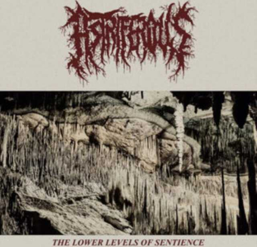 Astriferous The Lower Levels Of Sentience CD