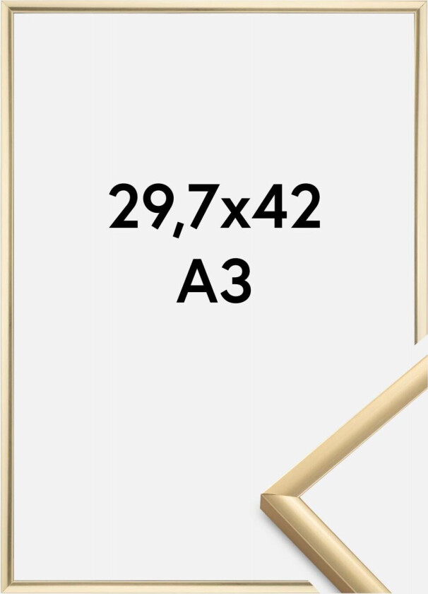 Ramme New Lifestyle Gull 29,7x42 Cm (A3)