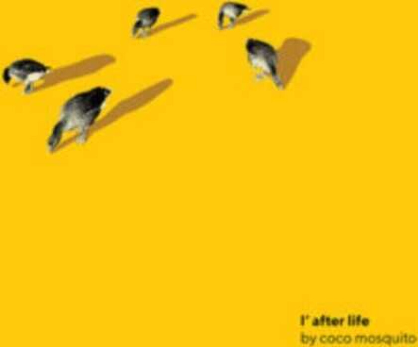 Coco Mosquito Lafter Life CD