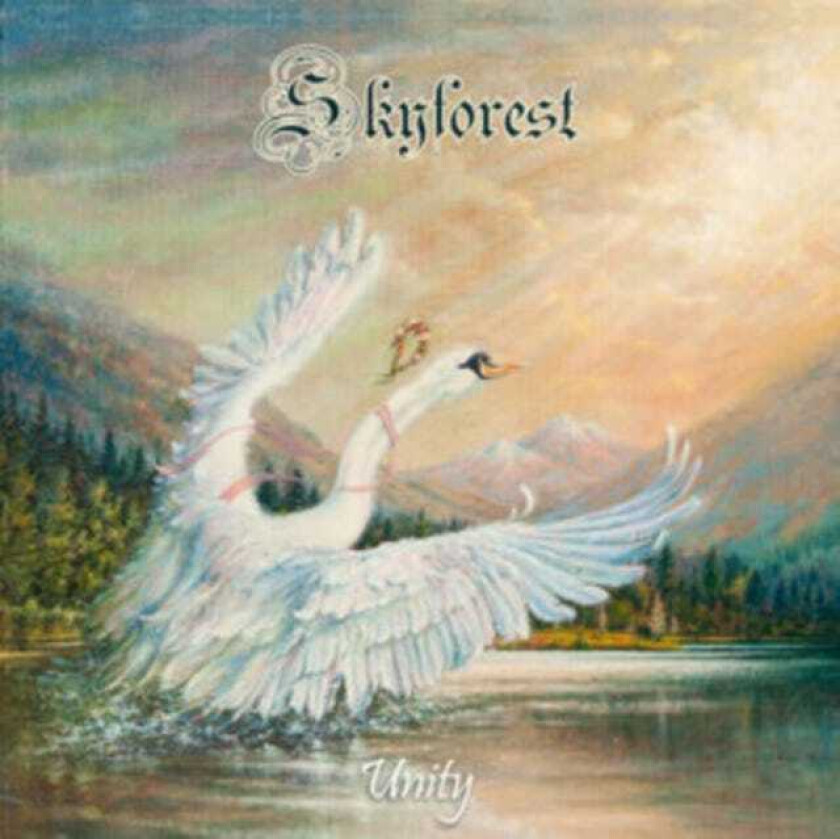 Skyforest Unity CD