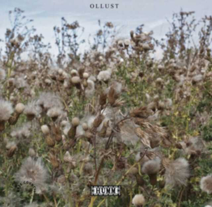 Broads, Milly Hirst Ollust LP/Vinyl