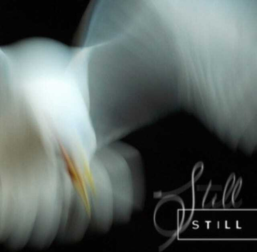 Aria Rostami, Daniel Blomquist Still CD