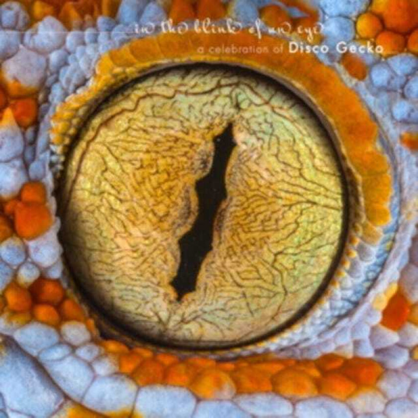 Diverse Artister In The Blink Of An Eye CD