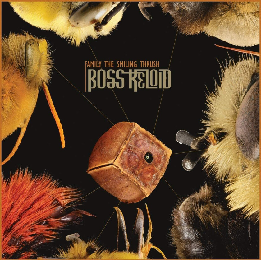 Boss Keloid Family The Smiling Thrush LP/Vinyl