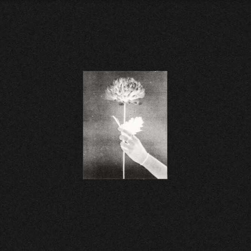 White Flowers Day By Day LP/Vinyl
