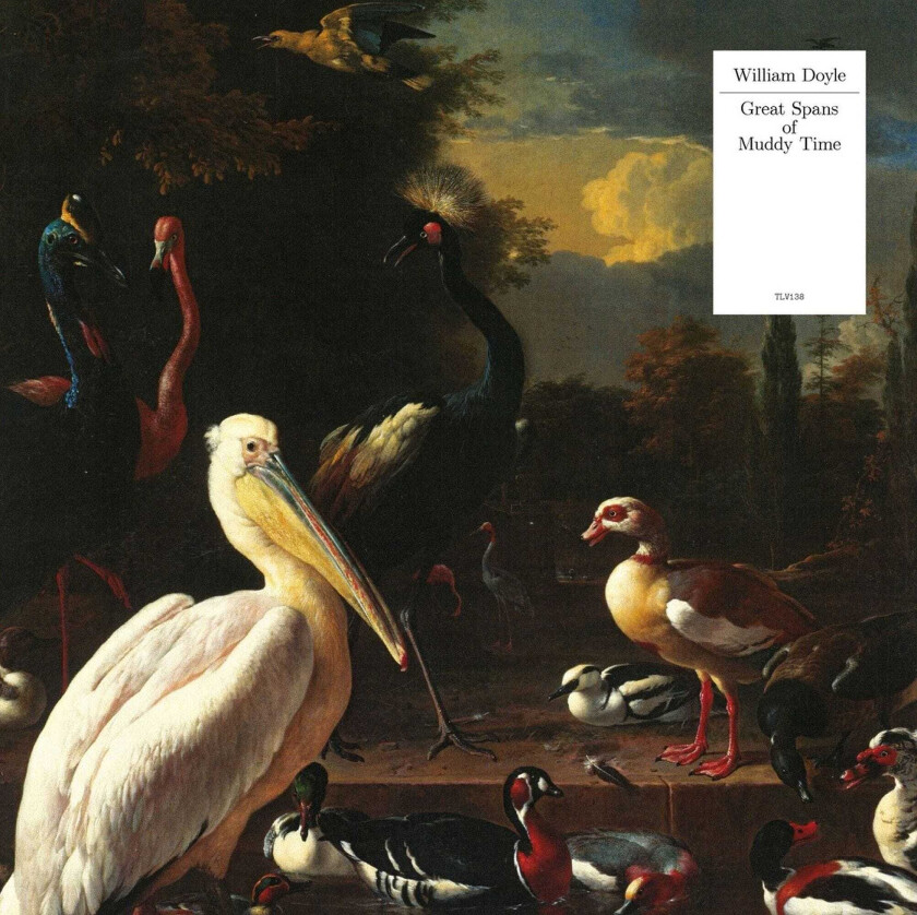 William Doyle Great Spans Of Muddy Time CD