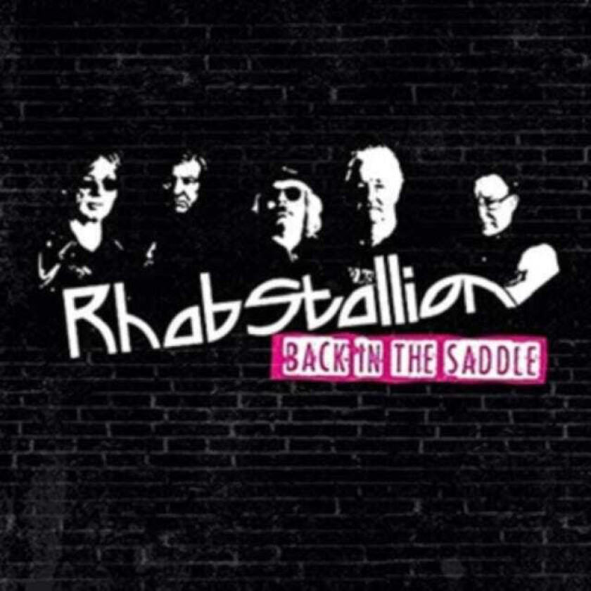 Rhabstallion Back In The Saddle LP/Vinyl