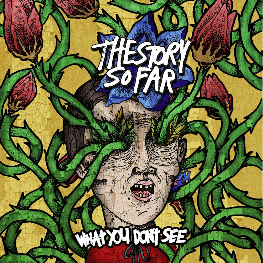 The Story So Far : What You Don’t See CD (2013)