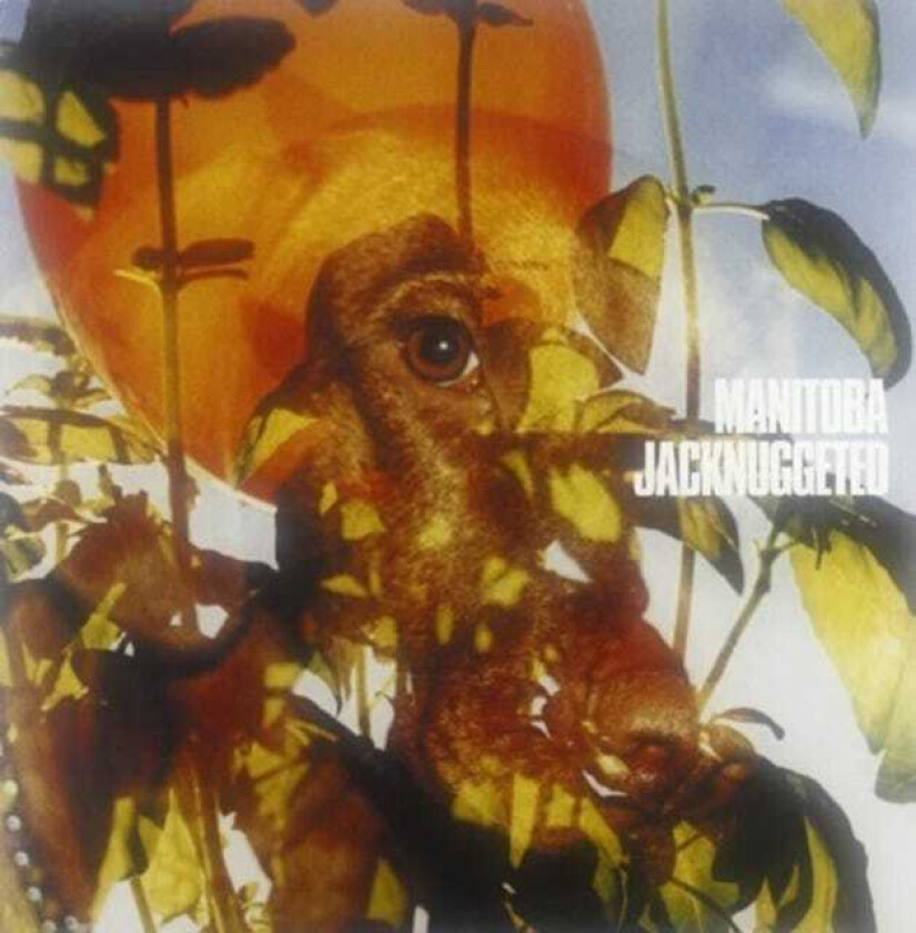 Manitoba, Caribou Jack Nuggeted LP/Vinyl
