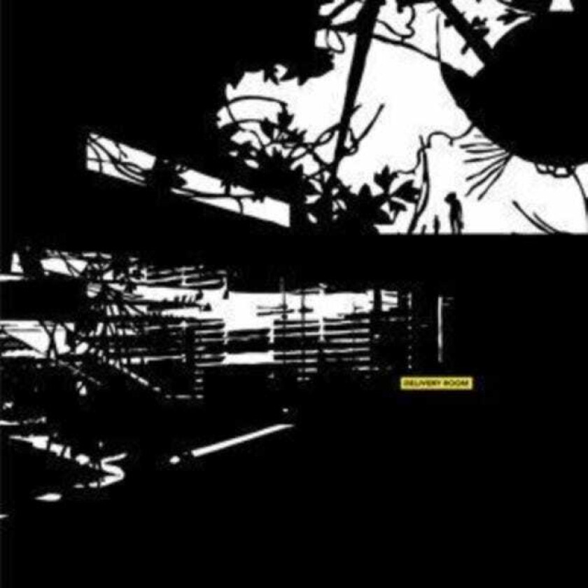 Diverse Artister Delivery Room CD