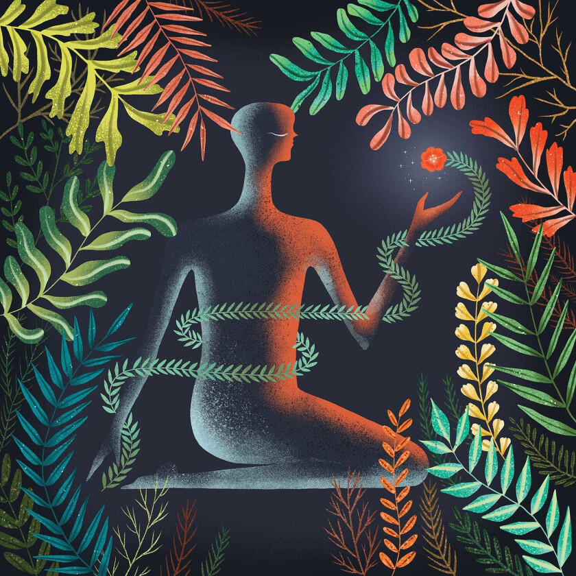 Loma Don't Shy Away LP/Vinyl