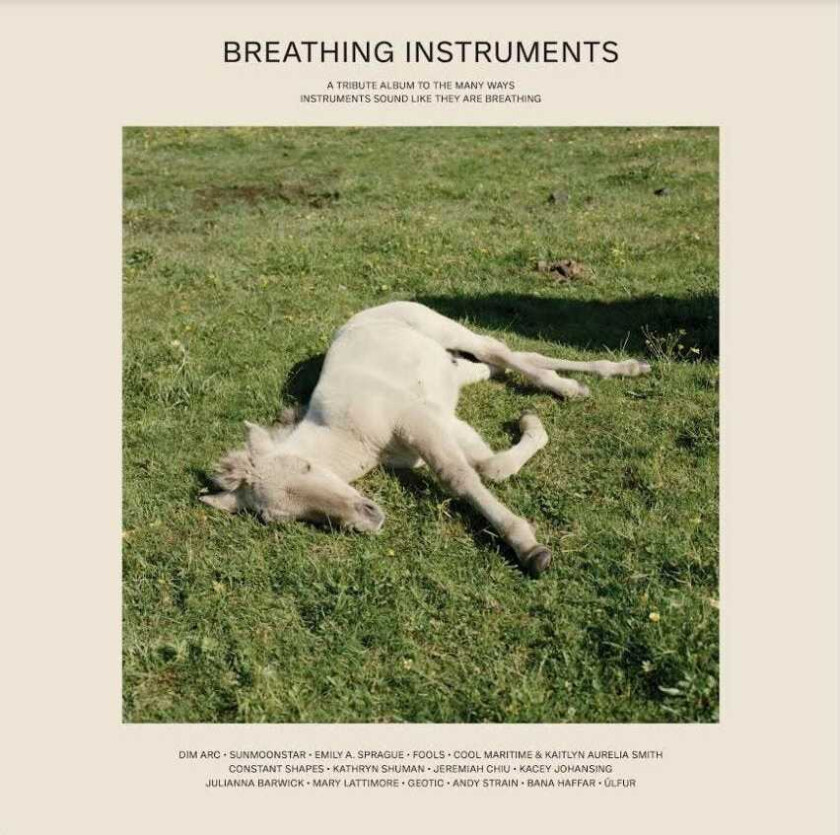 Diverse Artister Breathing Instruments LP/Vinyl