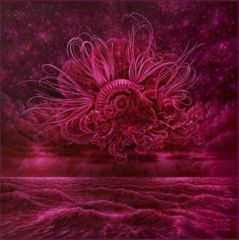 In Mourning Garden Of Storms LP/Vinyl