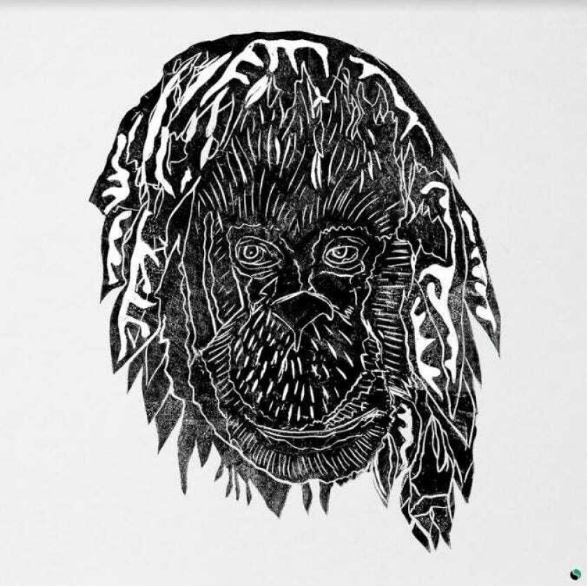 Alpha Steppa Raise The Ark LP/Vinyl