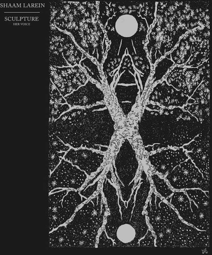 Shaam Larein Sculpture CD